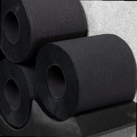 Renova Black Toilet Paper (6 Rolls)