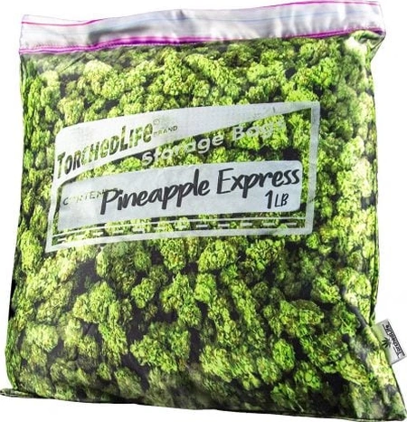 Housse de Coussin Secret Pineapple Express