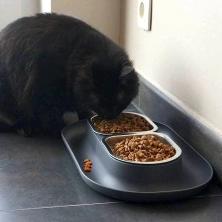 Gamelle Anti-Débordement et Confort Hepper NomNom