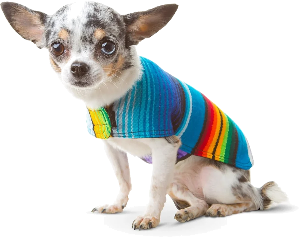 Authentic Mexican Blanket Poncho Fait Main pour Chien Bleu Taille XS