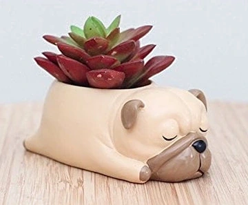 Cache-Pot Chien Pug en Résine