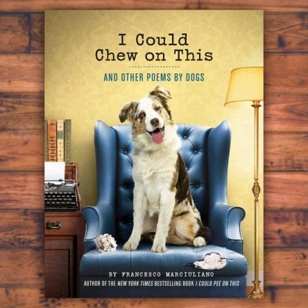 Poèmes Canins à Croquer