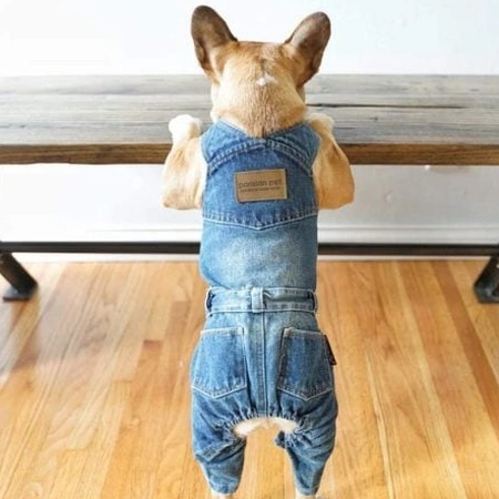 Salopette Denim Chic pour Petit Chien